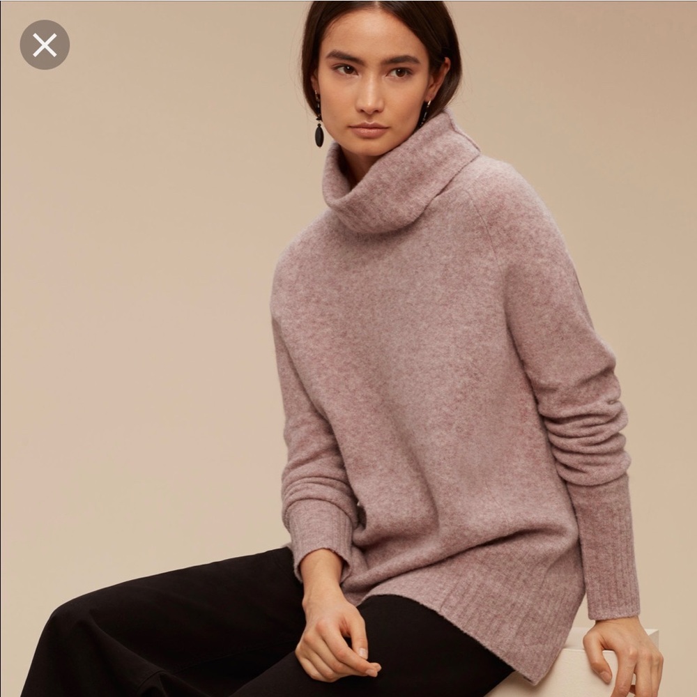 Aritzia Turtleneck